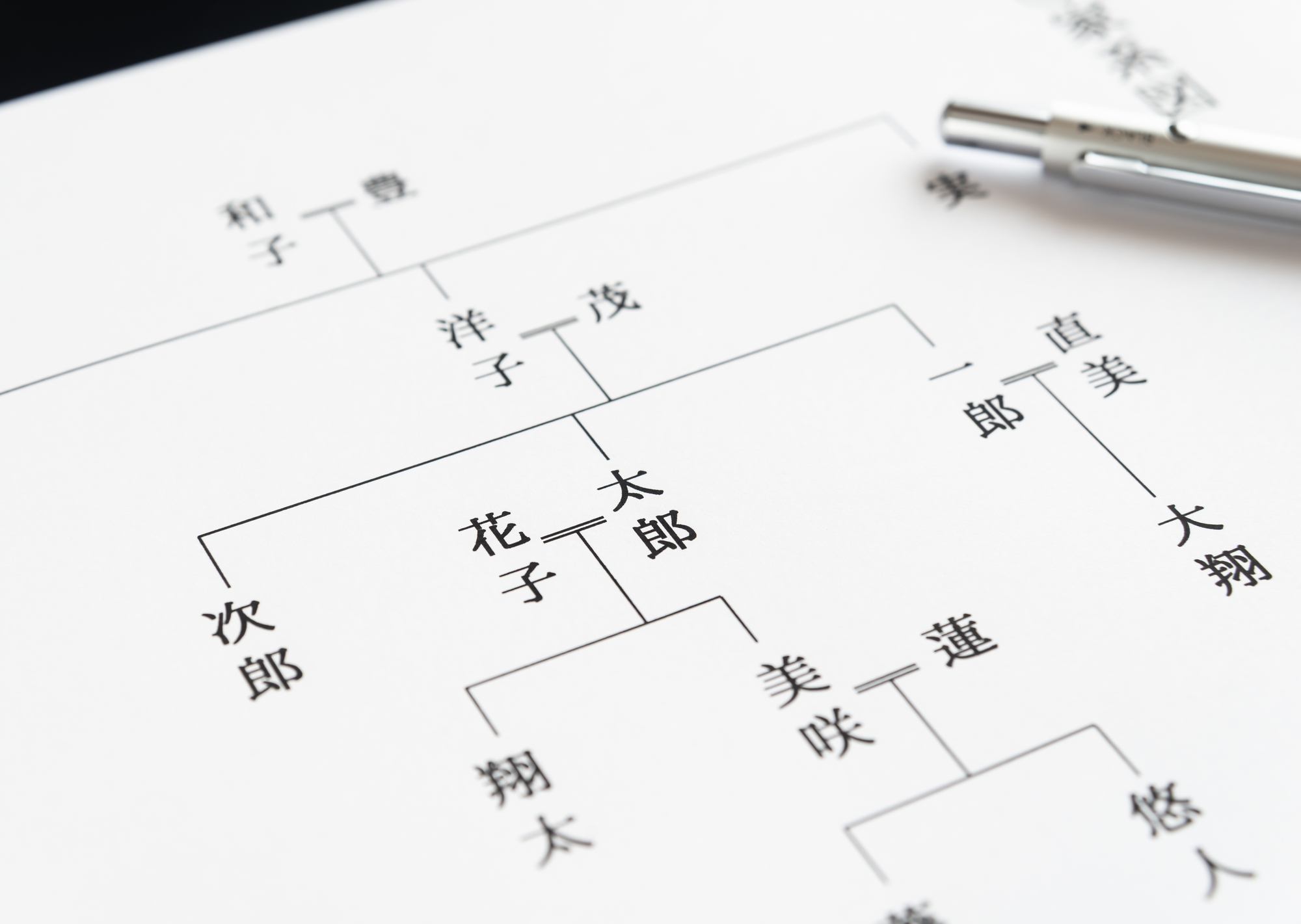 ルーツとは？意味や語源、起源・出自との違いから先祖の調べ方まで完全解説