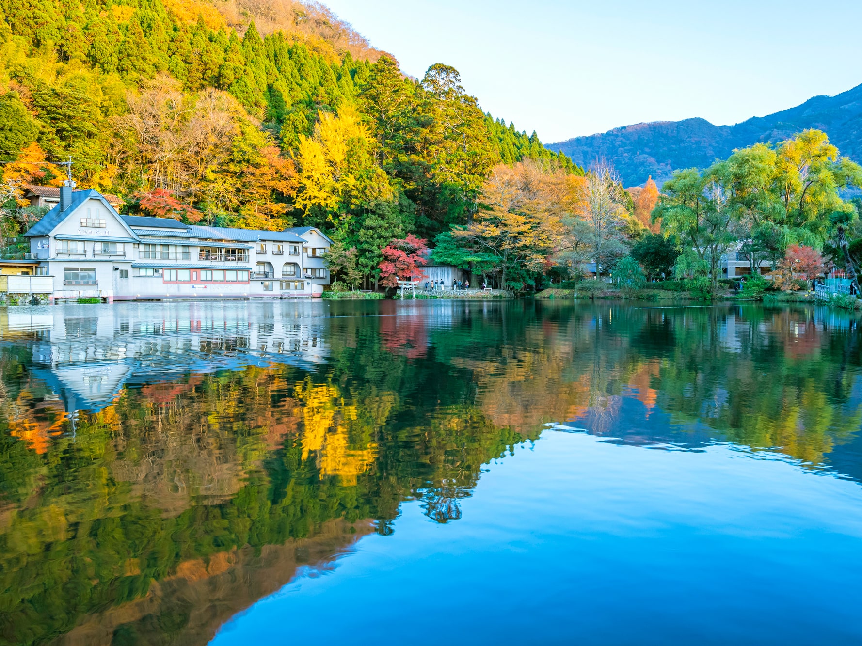 絵本の世界へ脱出する休日。2026年、いま大人が湯布院の「小さな英国村」を目指す理由