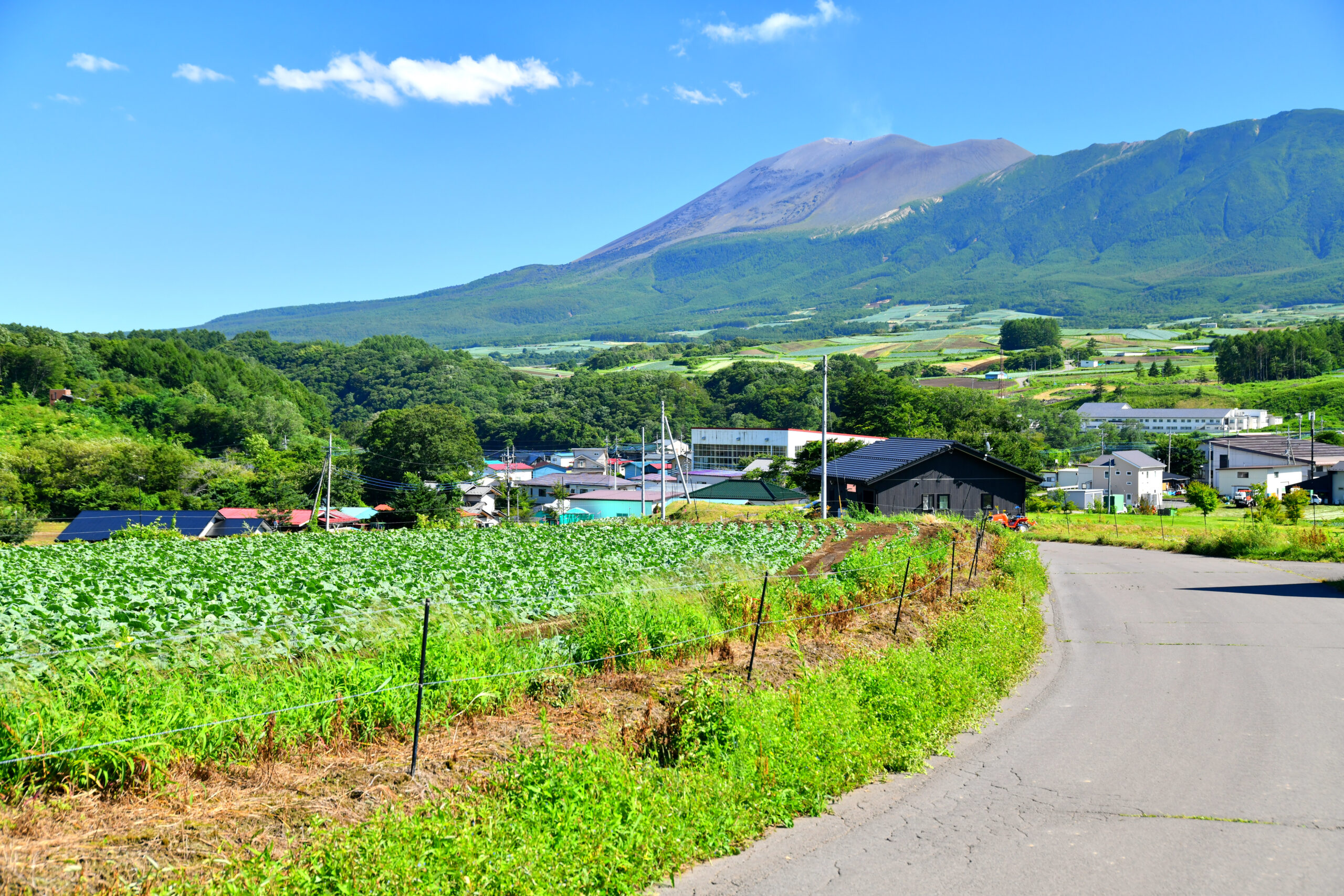 群馬県嬬恋村が移住先に選ばれる本当の理由【2026年徹底調査】