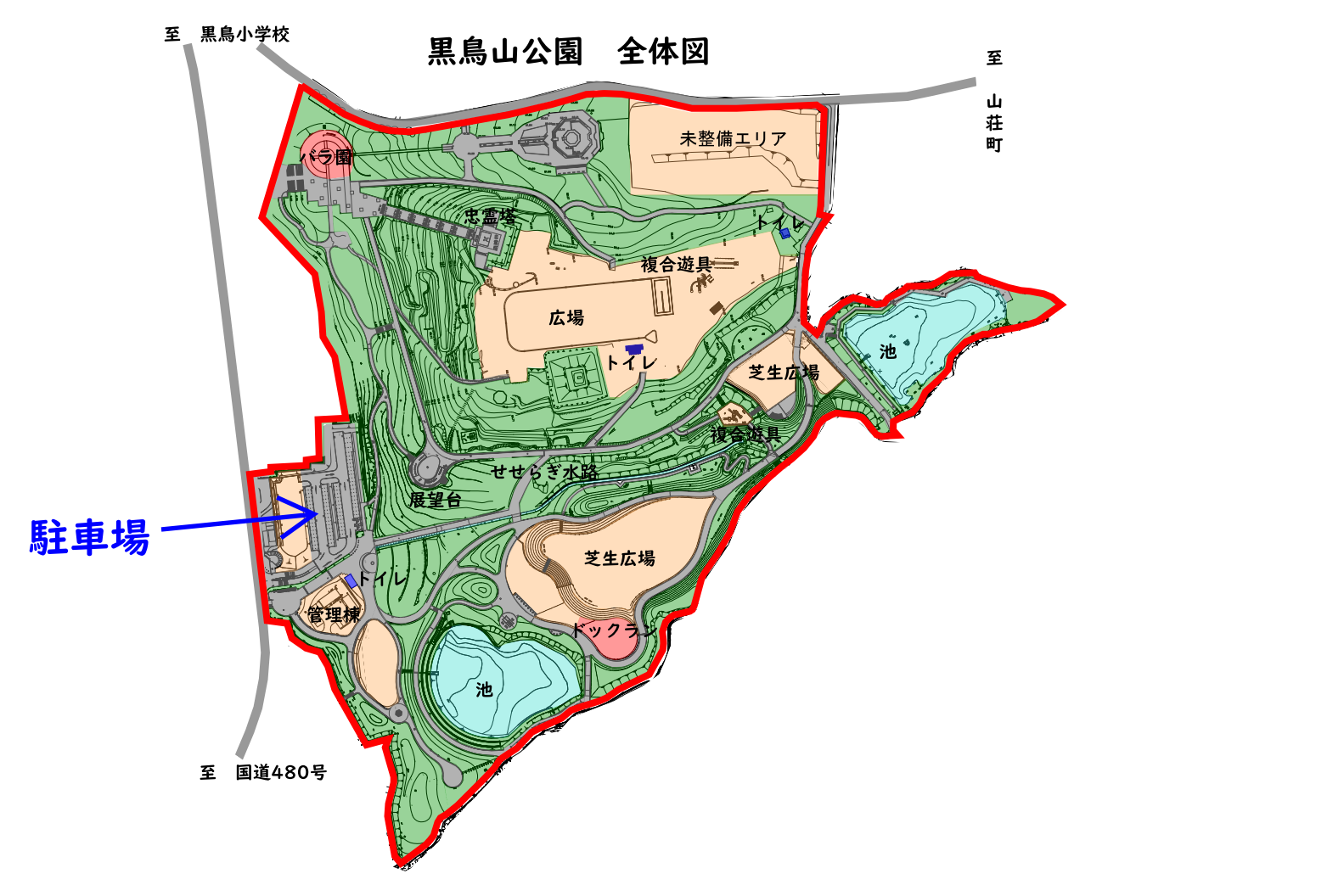 【2026年最新】和泉市・黒鳥山公園の桜開花とライトアップ真相