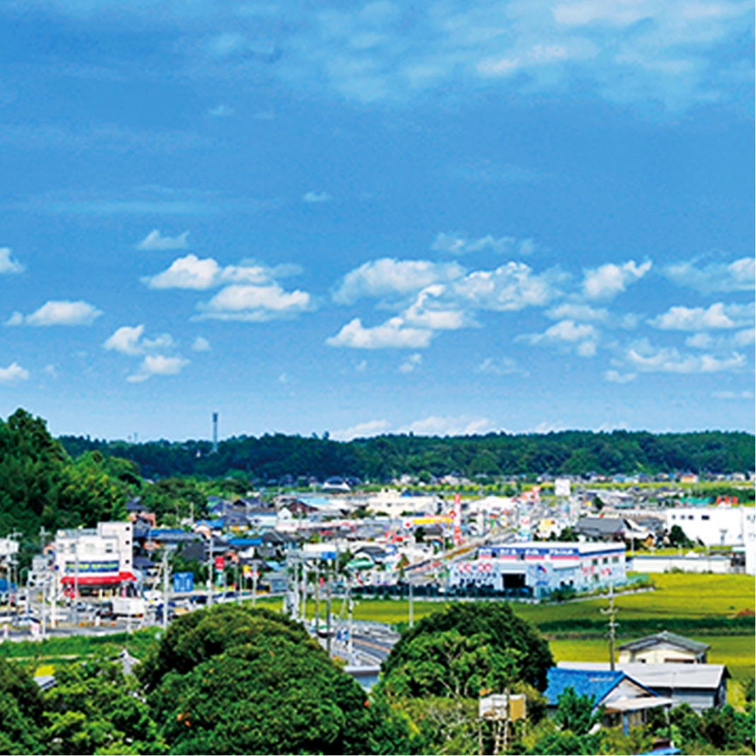 成田隣接の千葉県多古町が話題！幻の多古米と手厚い移住支援の真相