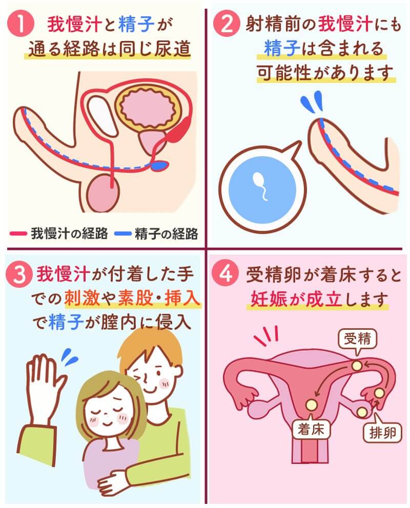 我慢汁とは？精子は含まれる？妊娠リスクの真相を医学的に解説