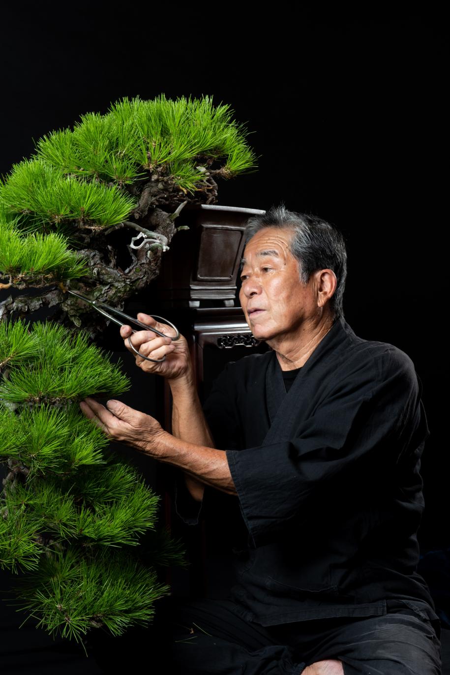 春花園Bonsai美術館がなぜ世界を魅了するのか？その真相を完全解説