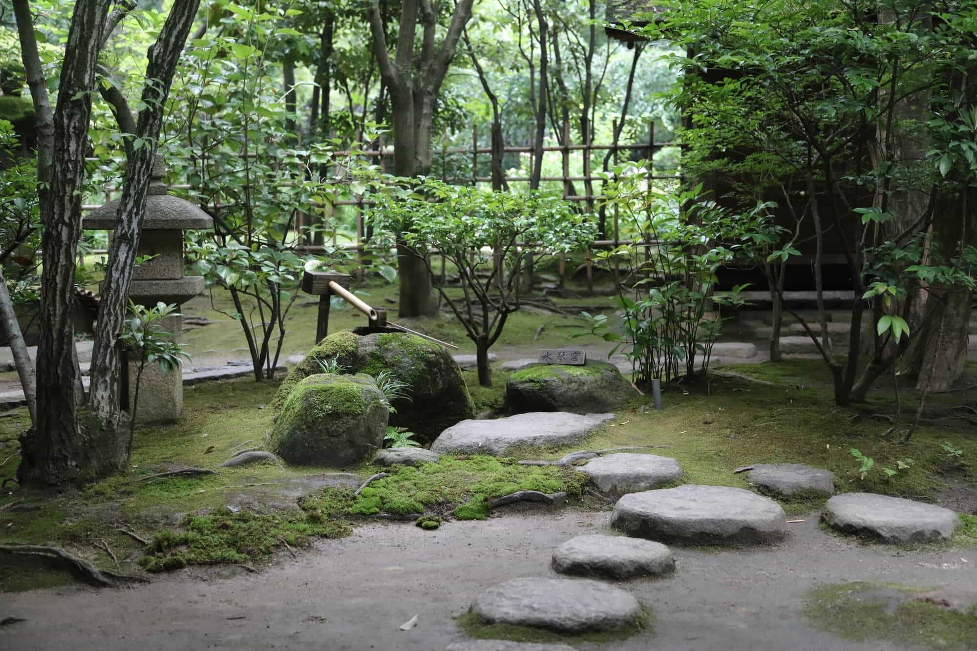 博多の隠れ名所「楽水園」完全解説！極上抹茶と庭園の見どころ