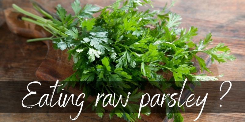 Can You Eat Raw Parsley