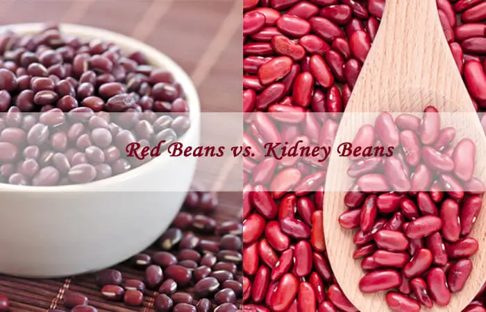 Dark or Light Red Kidney Beans for Chili