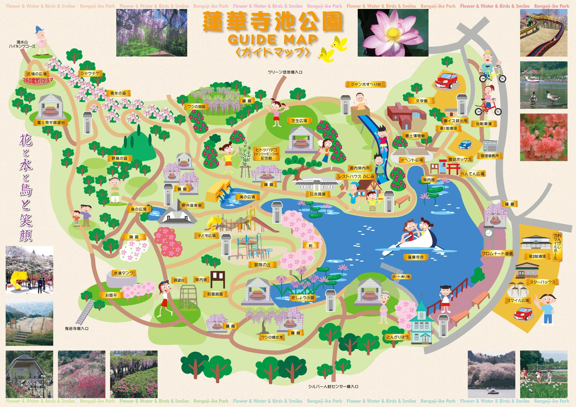 【2026】蓮華寺池公園の歩き方！藤まつり開花・駐車場とカフェ徹底調査