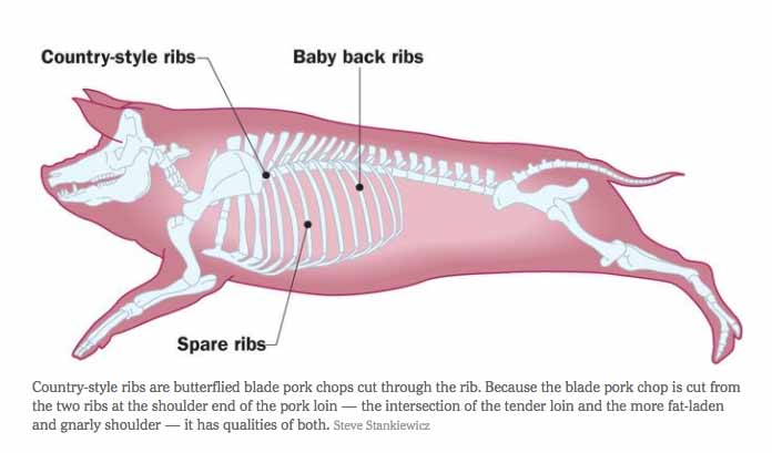 What Animal Is Ribs From
