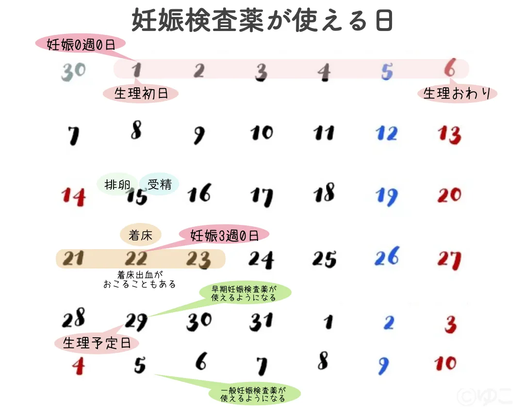 着床出血後に妊娠検査薬はいつ反応？生理との違いと陰性から陽性の理由