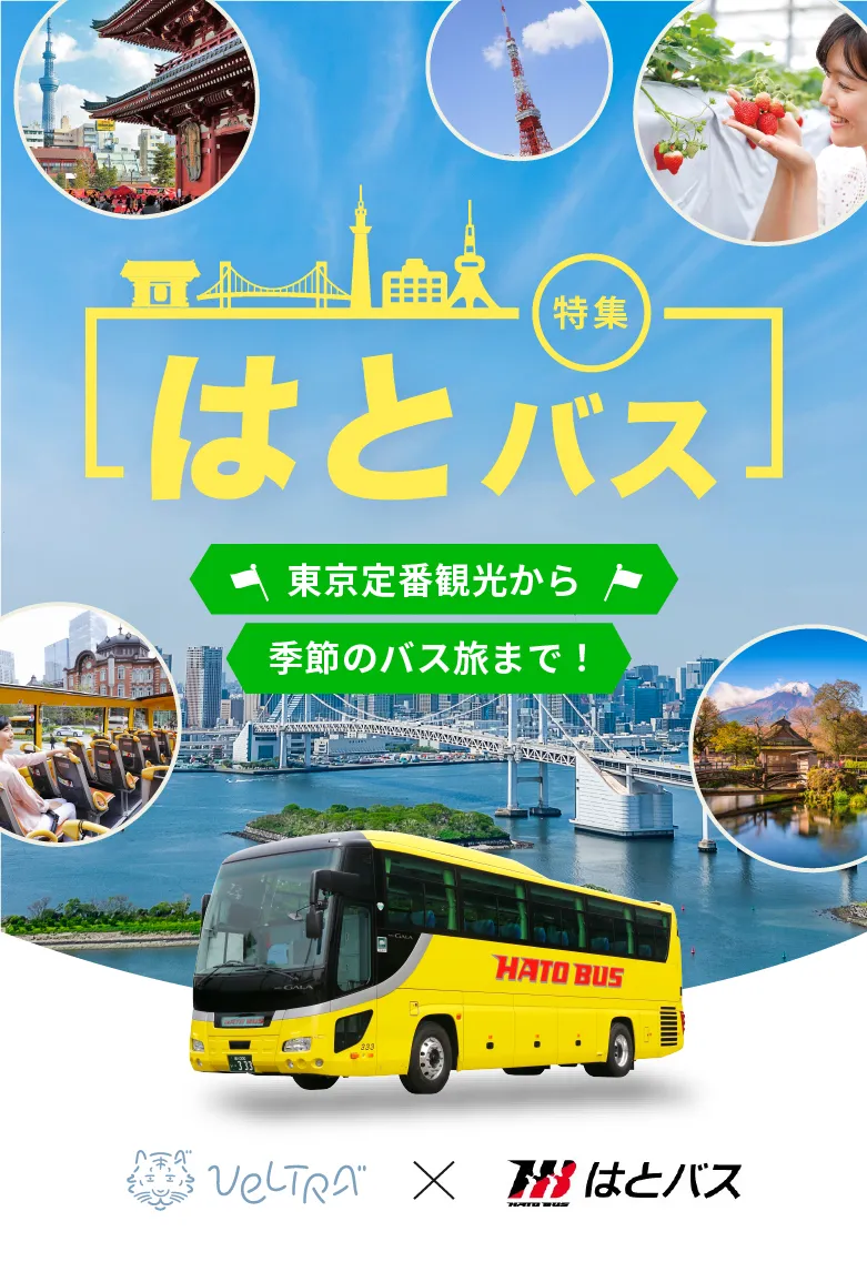 【2026最新】はとバスツアー一人参加は浮く？評判の真相とおすすめコース完全版