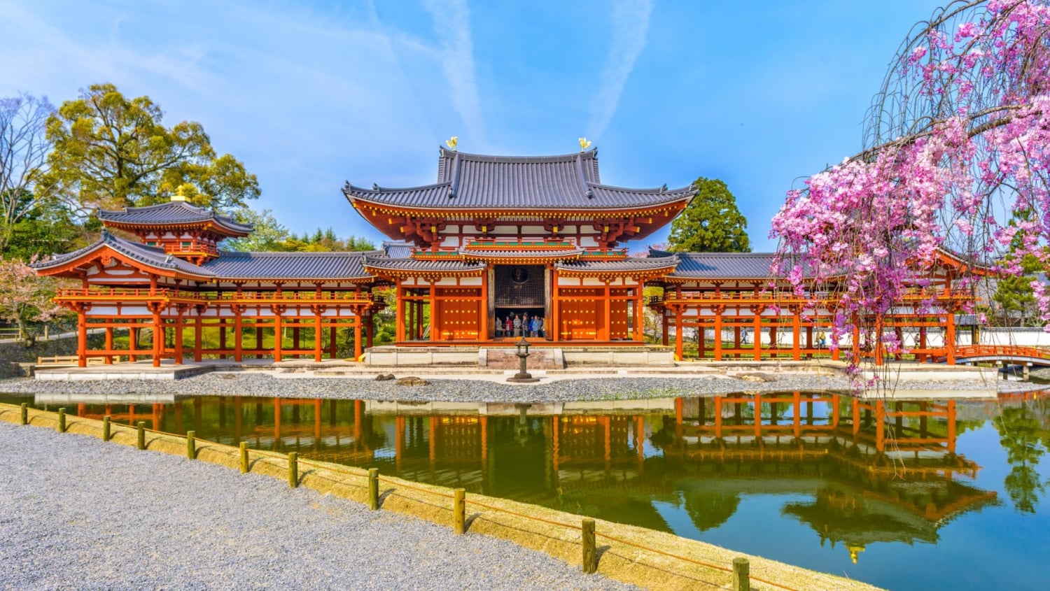 1000年の色彩が令和の光に浮かぶ：2026年、京都・宇治の「平等院」が踏み出した文化財保護と進化の新たな一歩