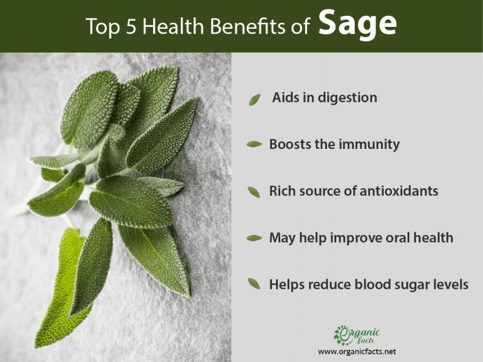 Health Benefits of Sage Plant