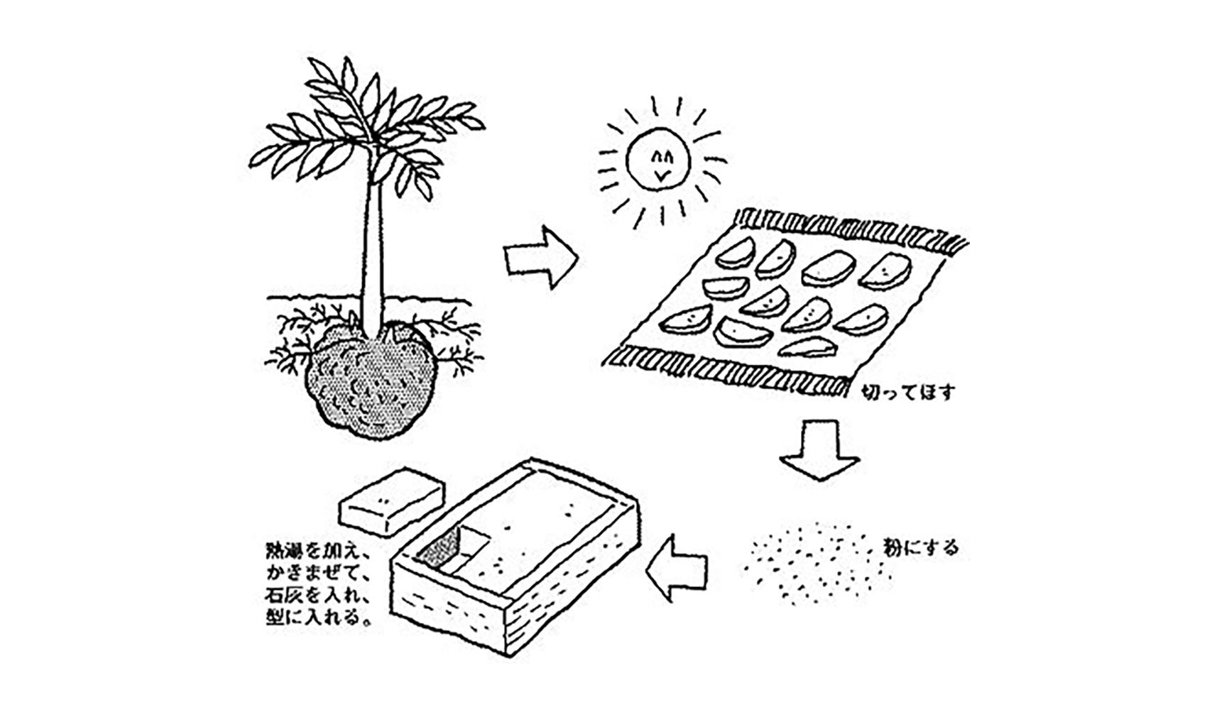 手作業で極上の食感！プロ直伝のこんにゃく作り方と失敗ゼロの黄金比