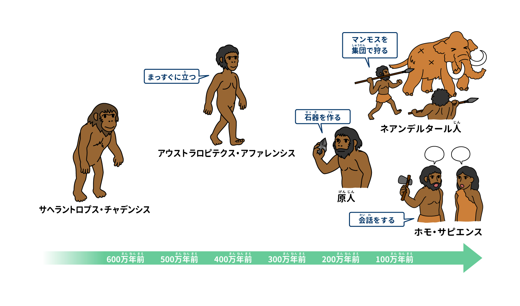 【衝撃】人間の進化は止まっていない？最新科学が明かす驚愕の未来予測