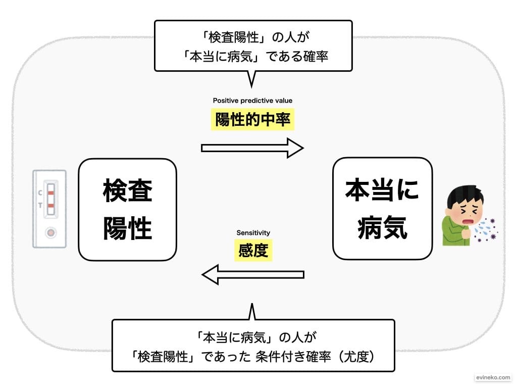 【2026最新】尤度とは？確率との違いと実務での活用法を徹底解説
