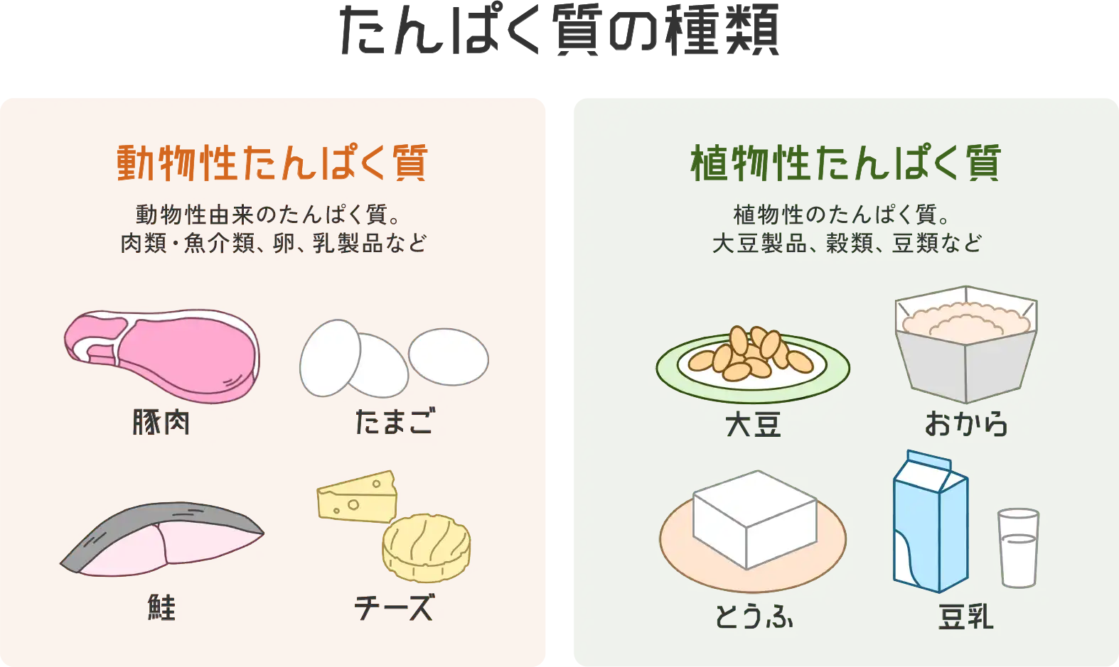 植物性と動物性タンパク質の違いは？プロが暴く効果と理想の黄金比率