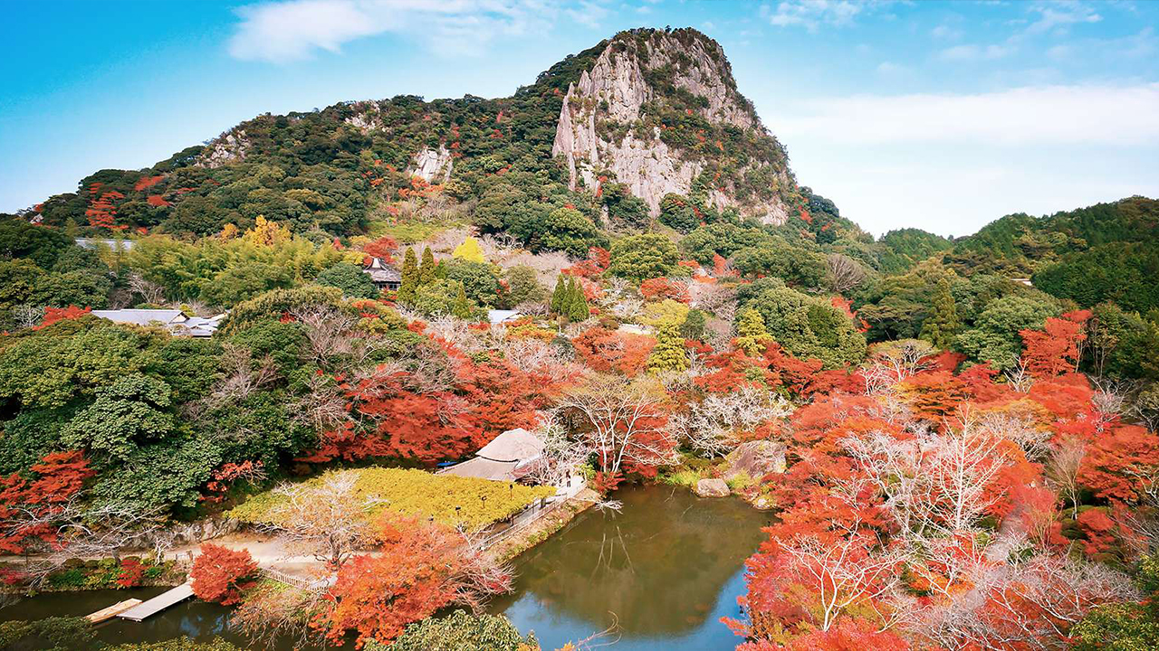 【2026年最新】御船山楽園の紅葉見頃はいつ？圧巻ライトアップと混雑回避の極意