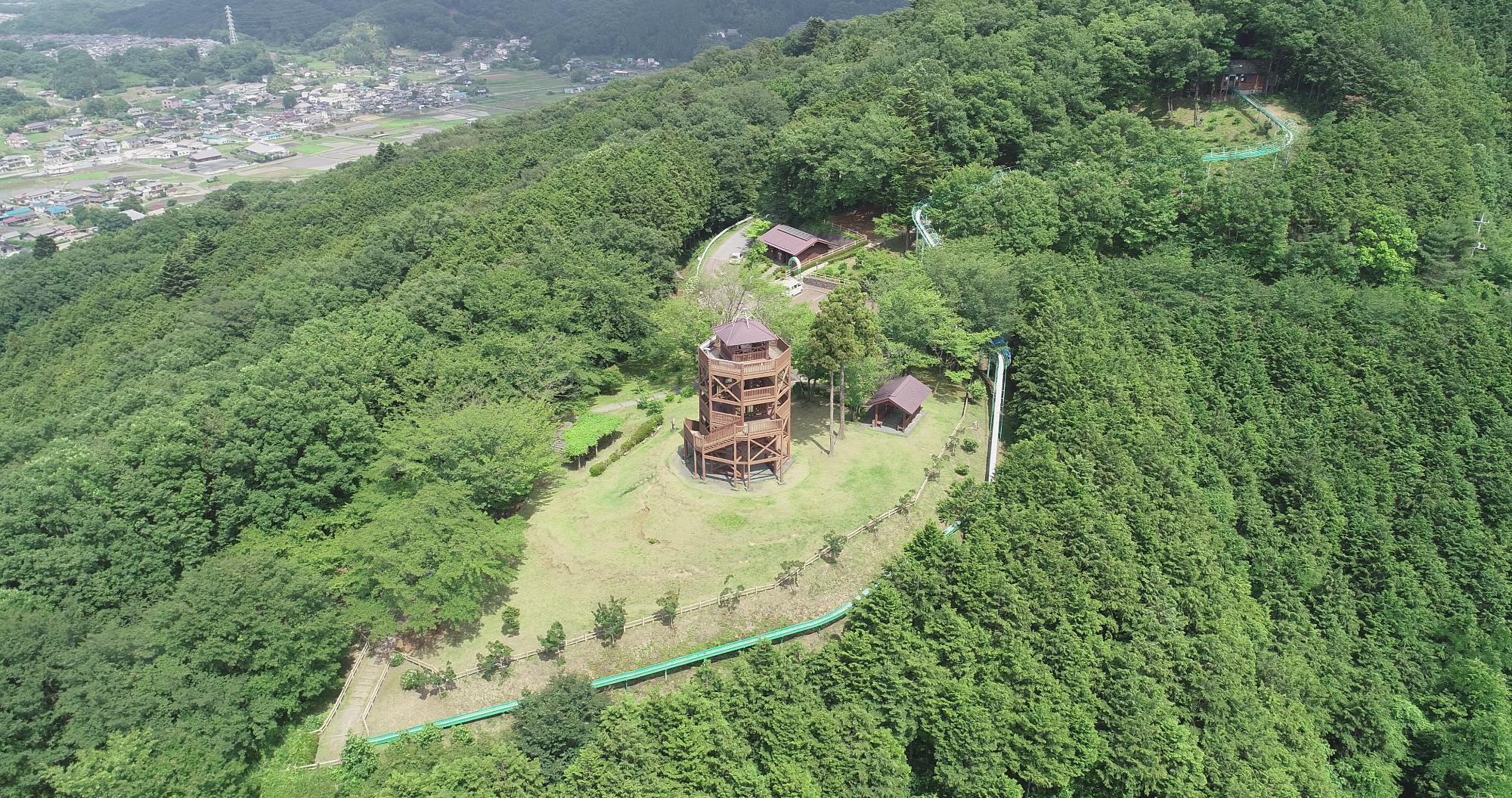 仙元山公園の魅力徹底解剖！遊具・混雑回避と穴場を2026年現地調査