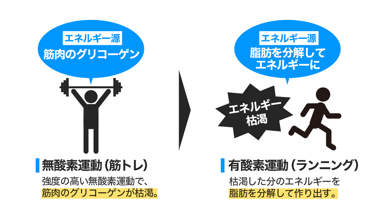 有酸素運動と無酸素運動の違いとは？痩せない原因と脂肪燃焼の正解
