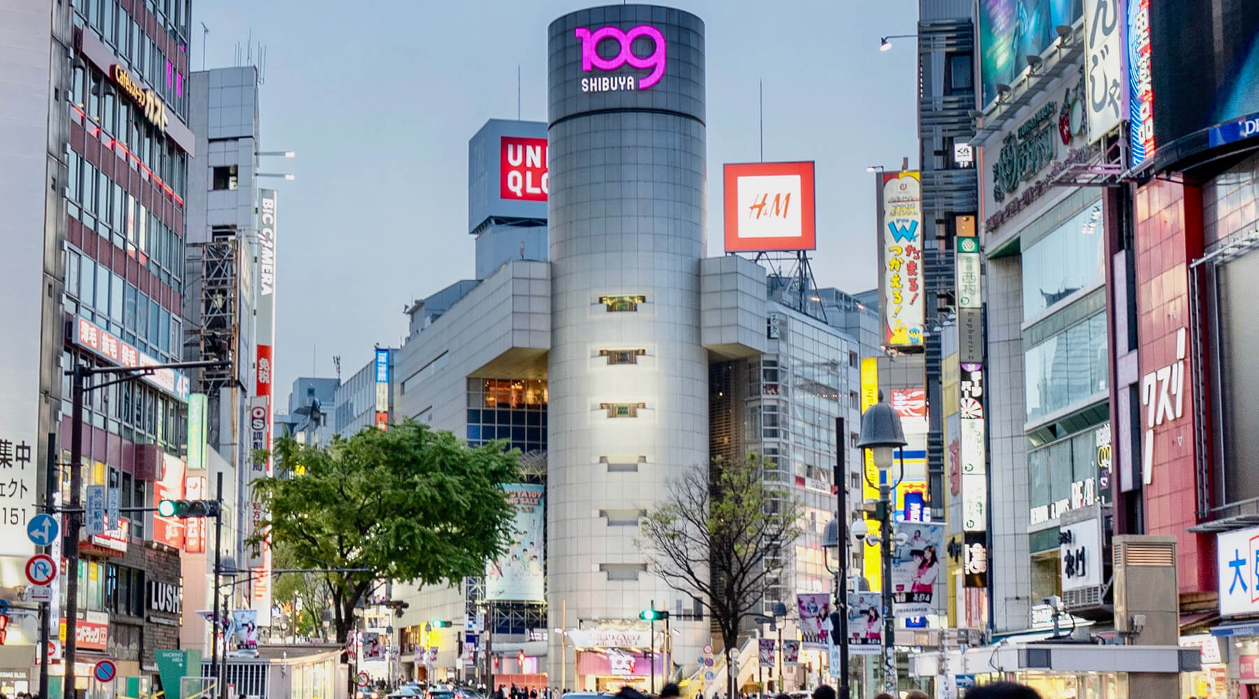 109シネマズ新宿はなぜ高い？坂本龍一音響と極上座席の実態検証