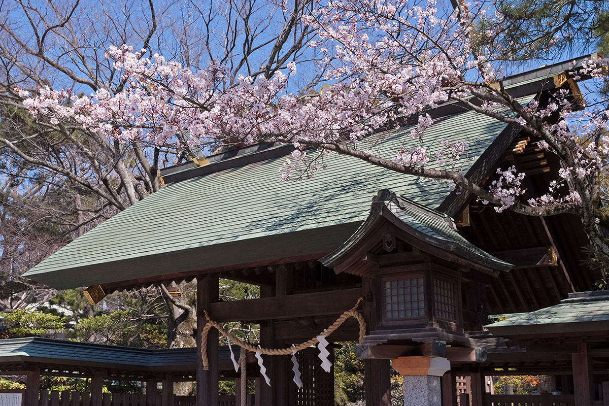 船橋大神宮（意富比神社）が地元民に愛される真相と御朱印・初詣完全ガイド