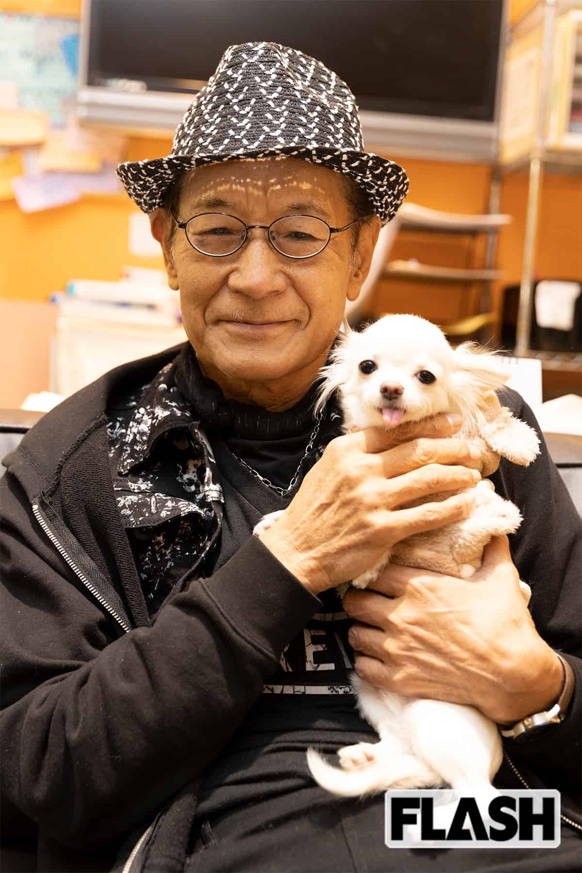アイフルチワワCmの真実！くぅ〜ちゃんブームの舞台裏と現在