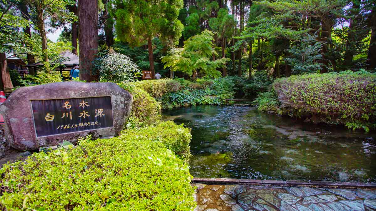 熊本・白川水源の湧水の秘密と水汲みルール完全ガイド【2026年】
