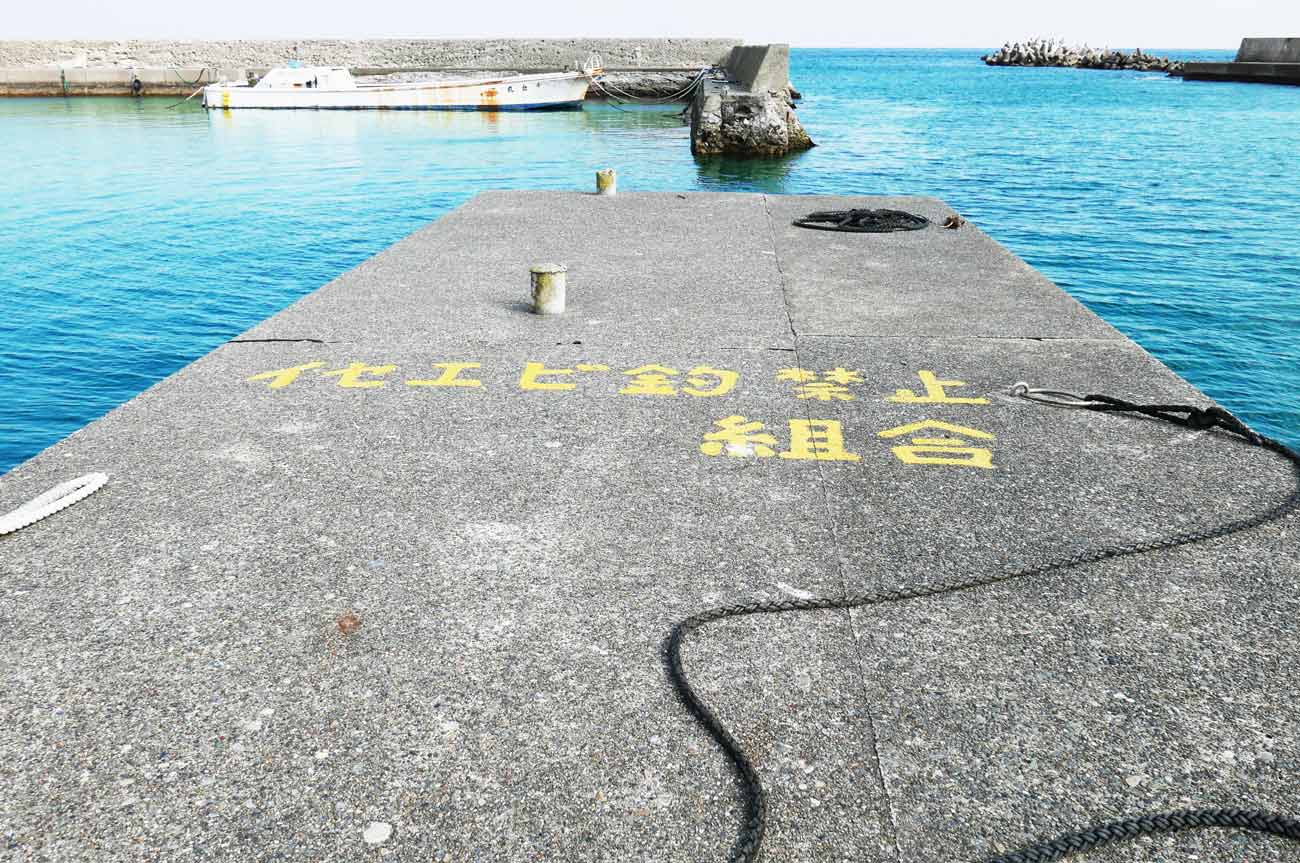 白子海岸釣り完全攻略！2026年最新釣果と穴場ポイントを徹底解説