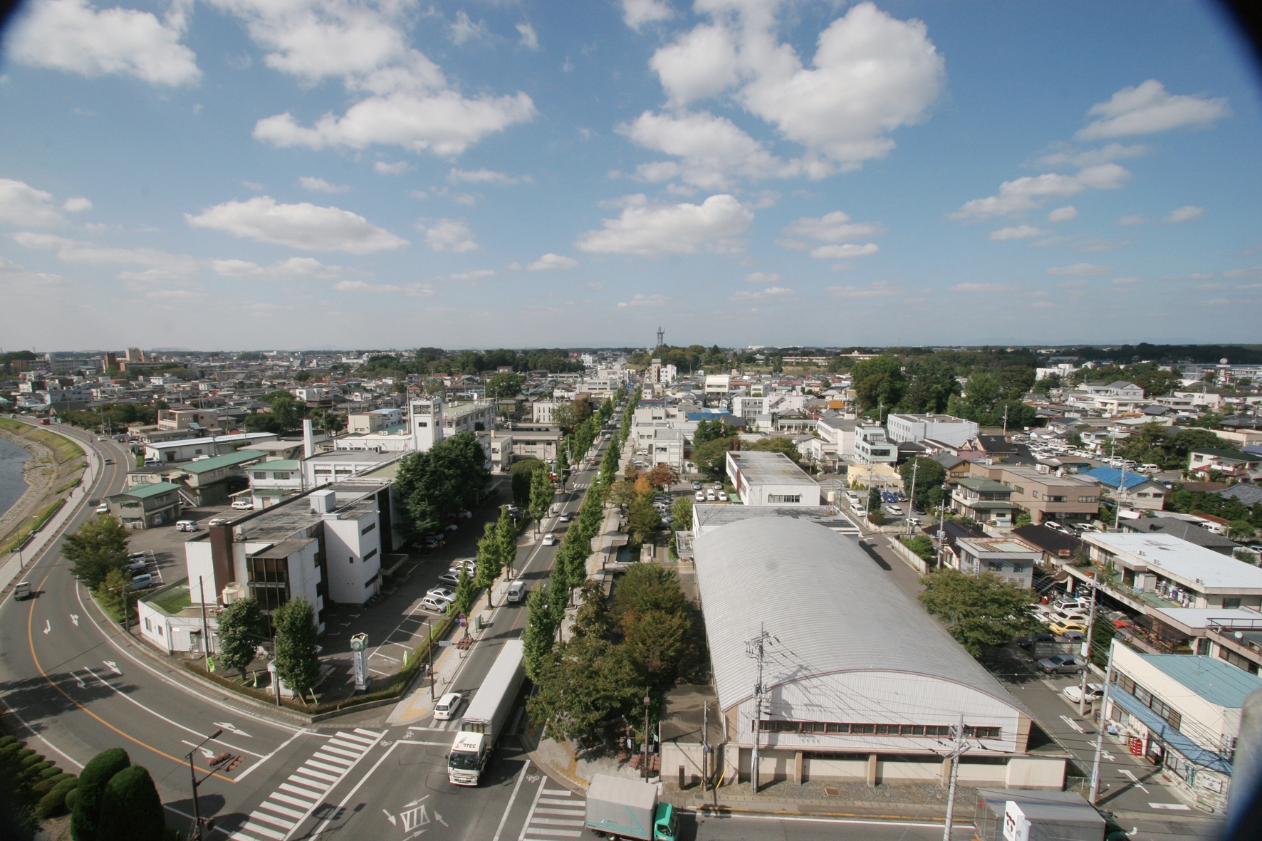 栃木県真岡市が今選ばれる理由！日本一の苺とSl、住みやすさの真実