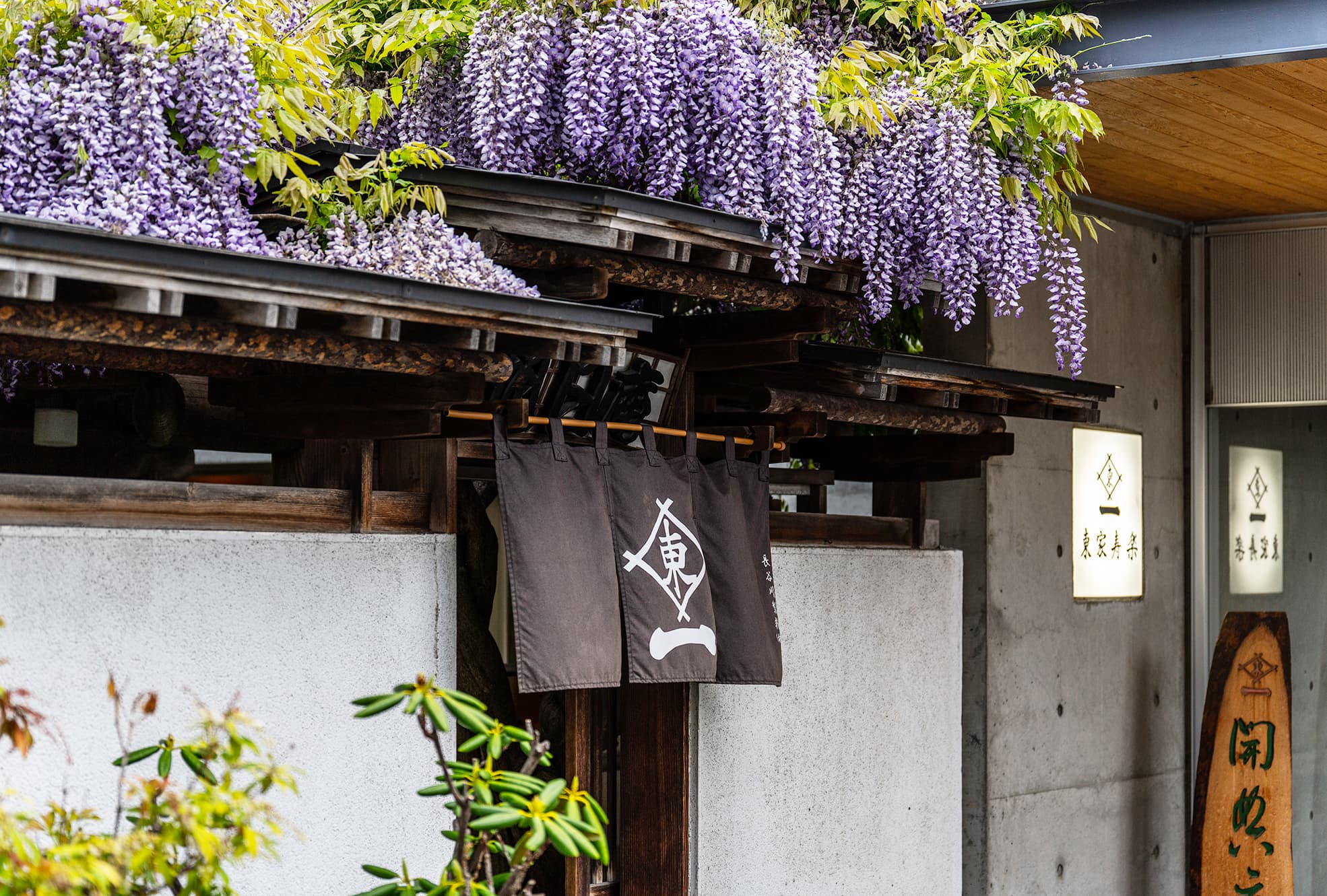 福井の名店「いわし屋」が愛される理由！絶品メニューと予約の極意