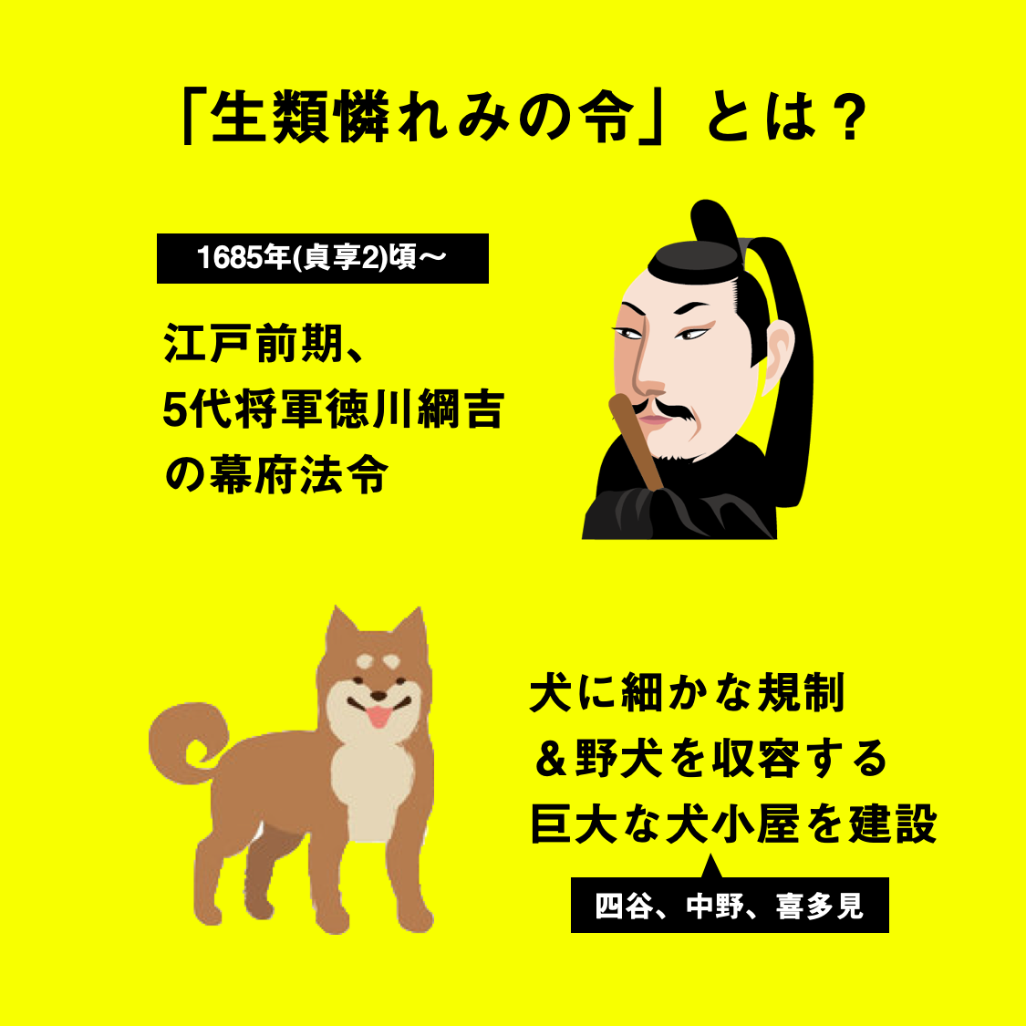 生類憐れみの令の真相！天下の悪法が日本初の福祉政策へと覆った理由