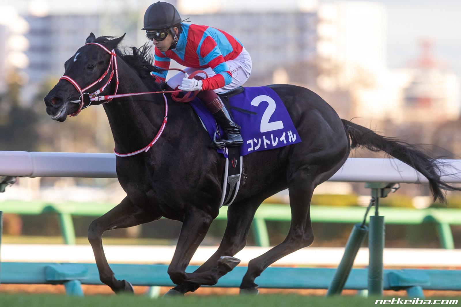 ダート絶対王者レモンポップの伝説！引退理由と種牡馬の現在・種付け料