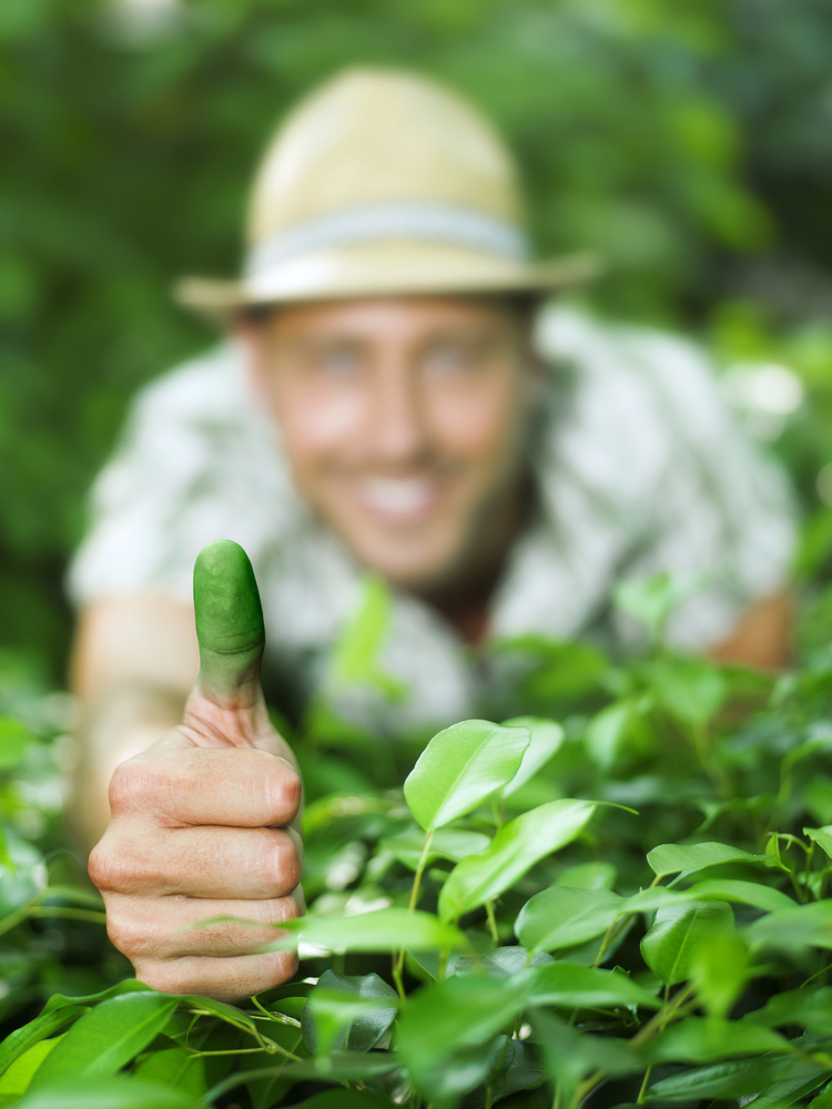 2026年、都市の絶望を救う「緑の手」：植物を枯らさない人が密かに実践する最新ボタニカルライフとテクノロジーの融合
