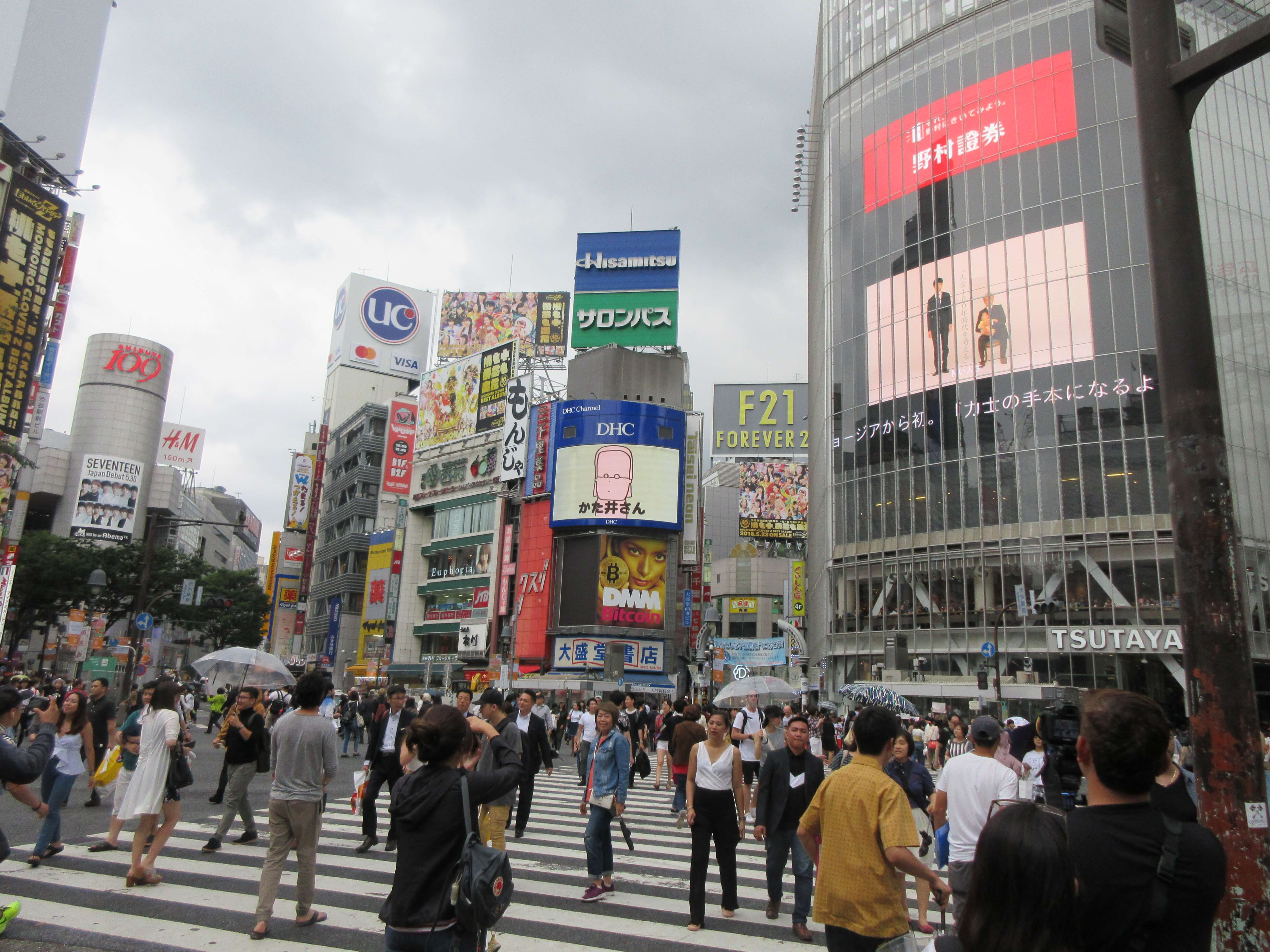 【2026年最新】渋谷区役所恵比寿駅前出張所の混雑回避ワザ！住民票手続きを徹底解説