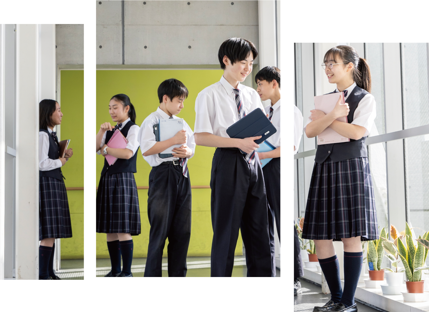 都市大等々力の評判と偏差値の真相！進学実績と選ぶべき理由【2026】