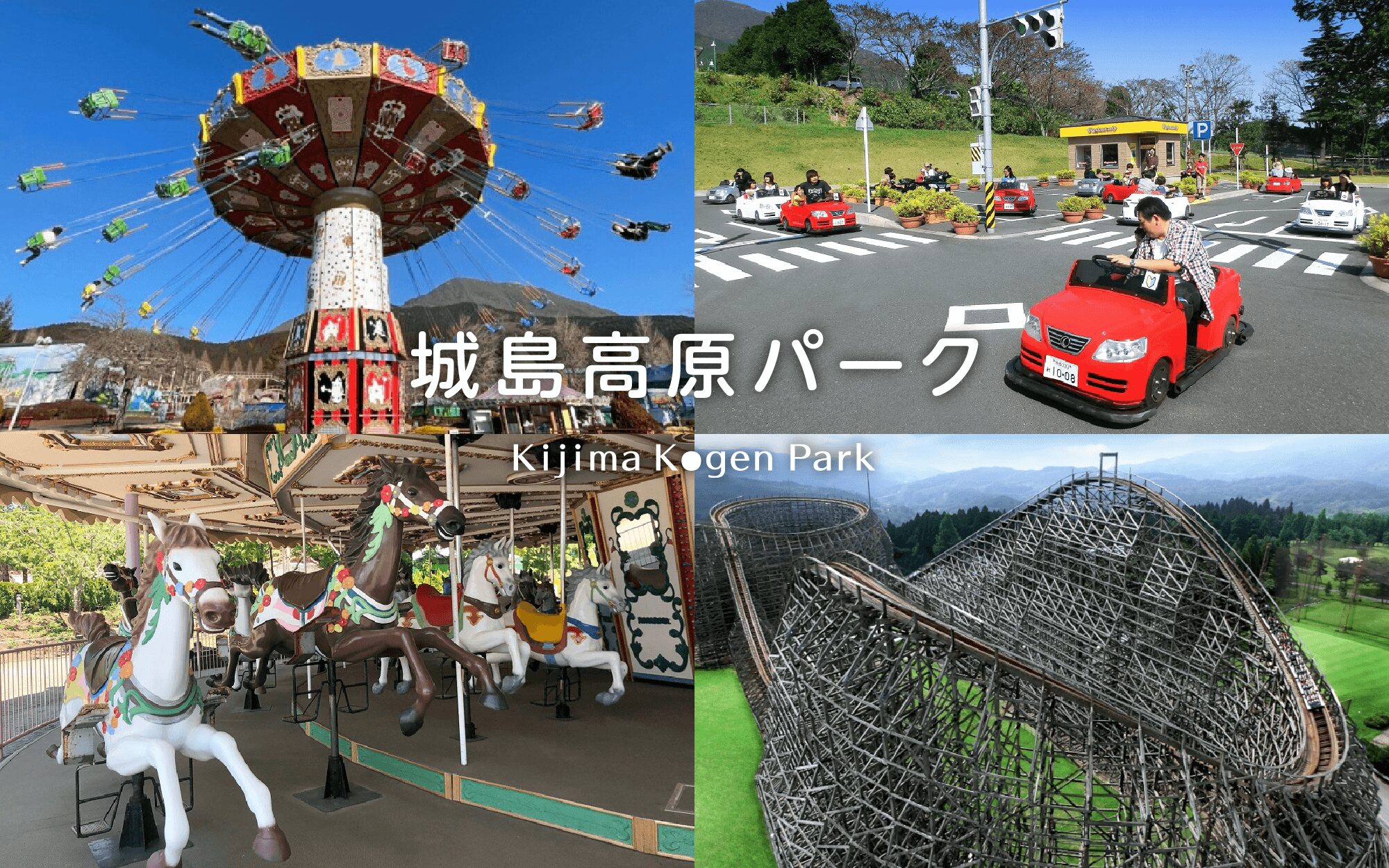 【2026最新】水産大学校が挑む海洋Dx！食糧危機を救う驚きの戦略とは