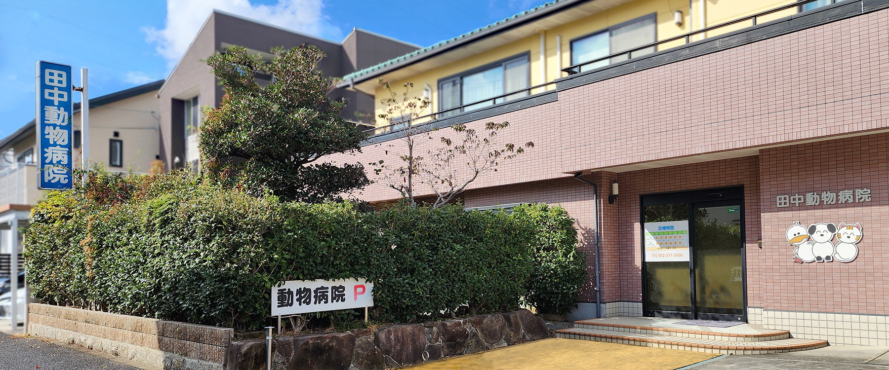 田中動物病院の評判と真実｜夜間救急や費用を徹底検証【2026】