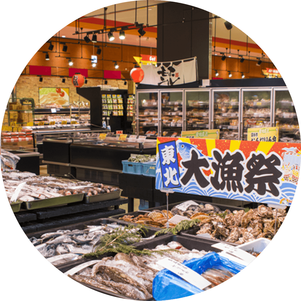 デイリーポート新鮮館気仙沼店を徹底解剖！鮮魚特売と混雑回避の極意