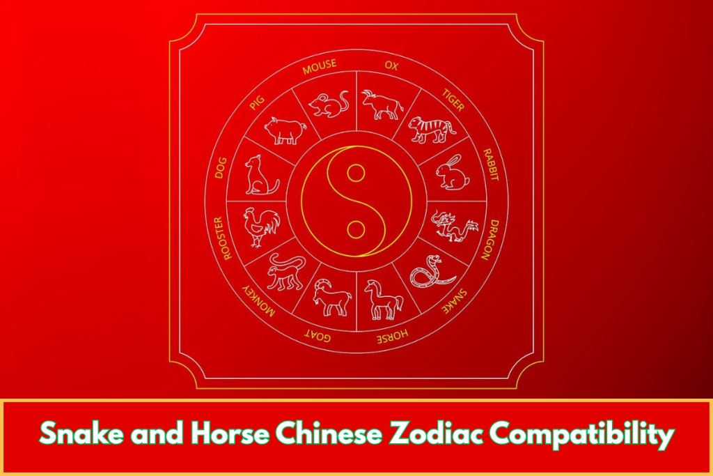 Year of the Snake and Horse Compatibility
