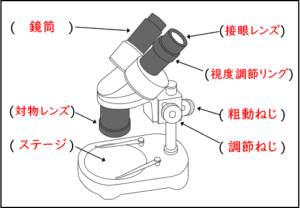 【動画まとめ】 双眼 実体 顕微鏡 名前 最新情報まとめ 2026 #777