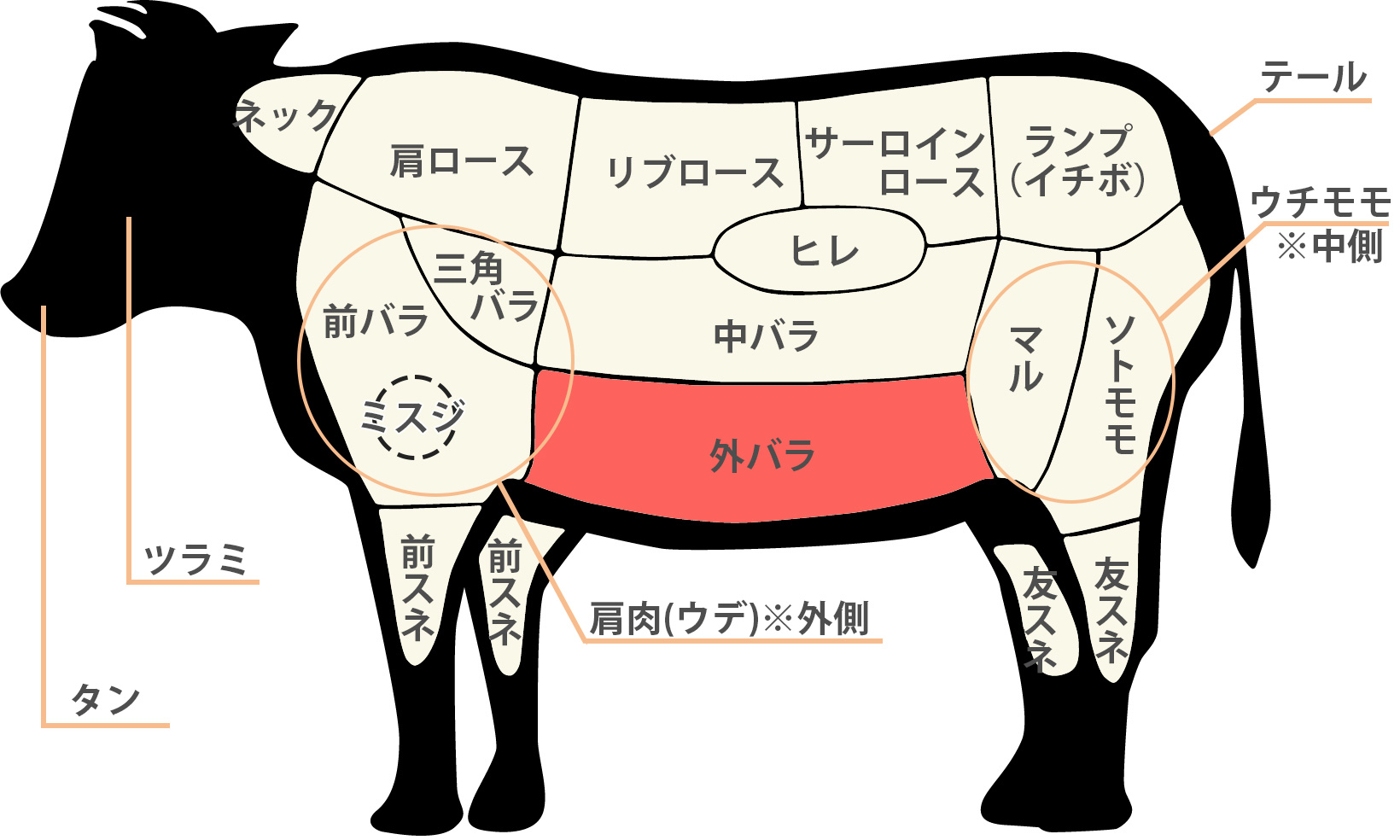 ロースの部位は牛と豚でどこ？肩ロースやヒレとの違いと焼き方解説