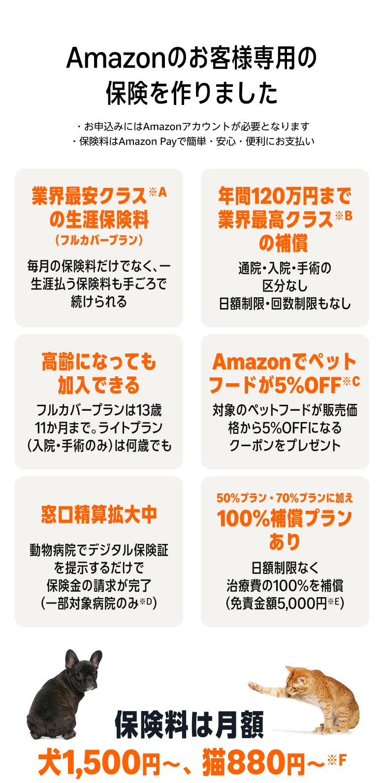 アマゾンペット保険の全貌解禁！噂の真相と後悔しない最新選び方