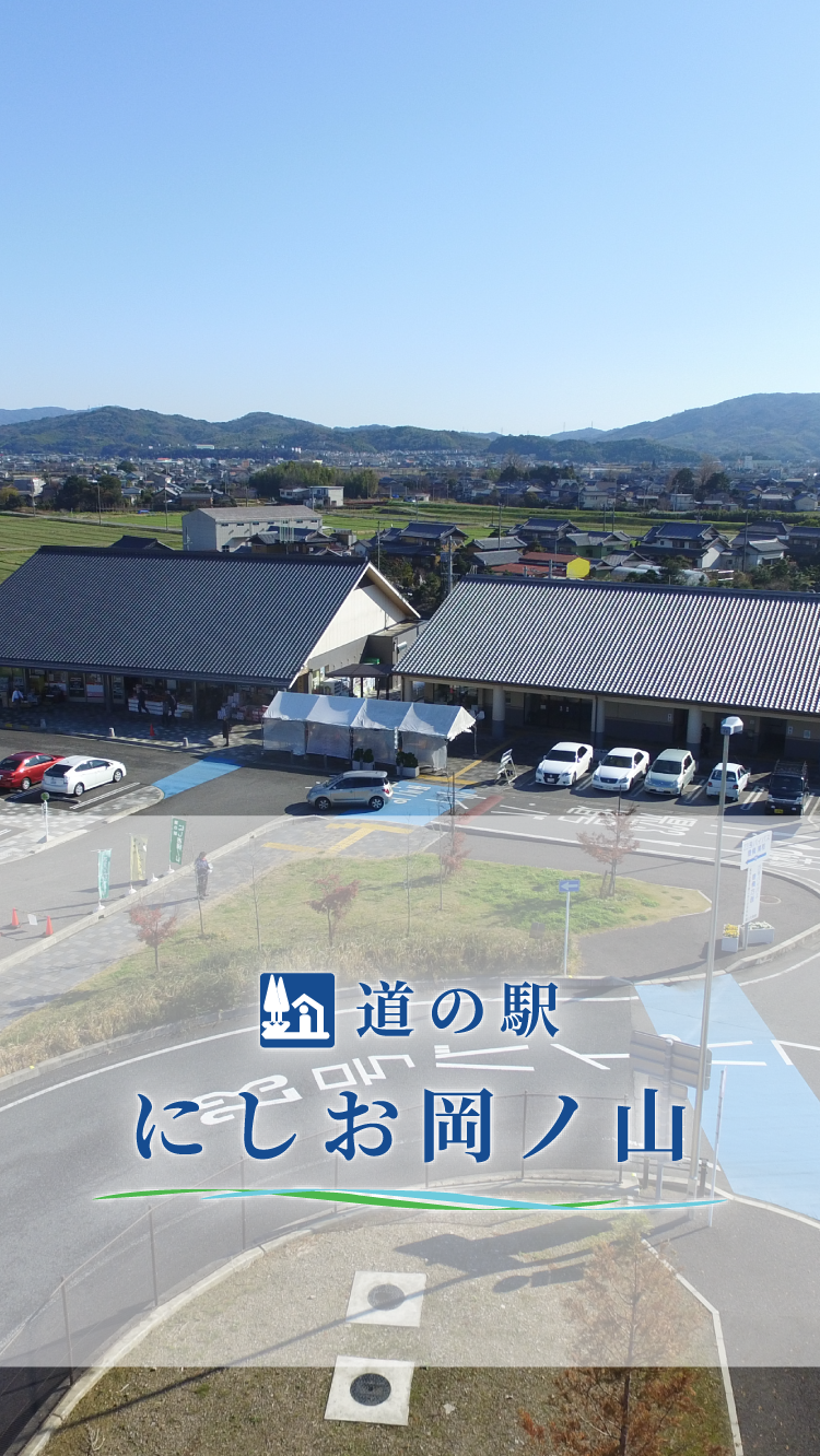 道の駅にしお岡ノ山が人気の理由！絶品グルメと車中泊の真相に迫る