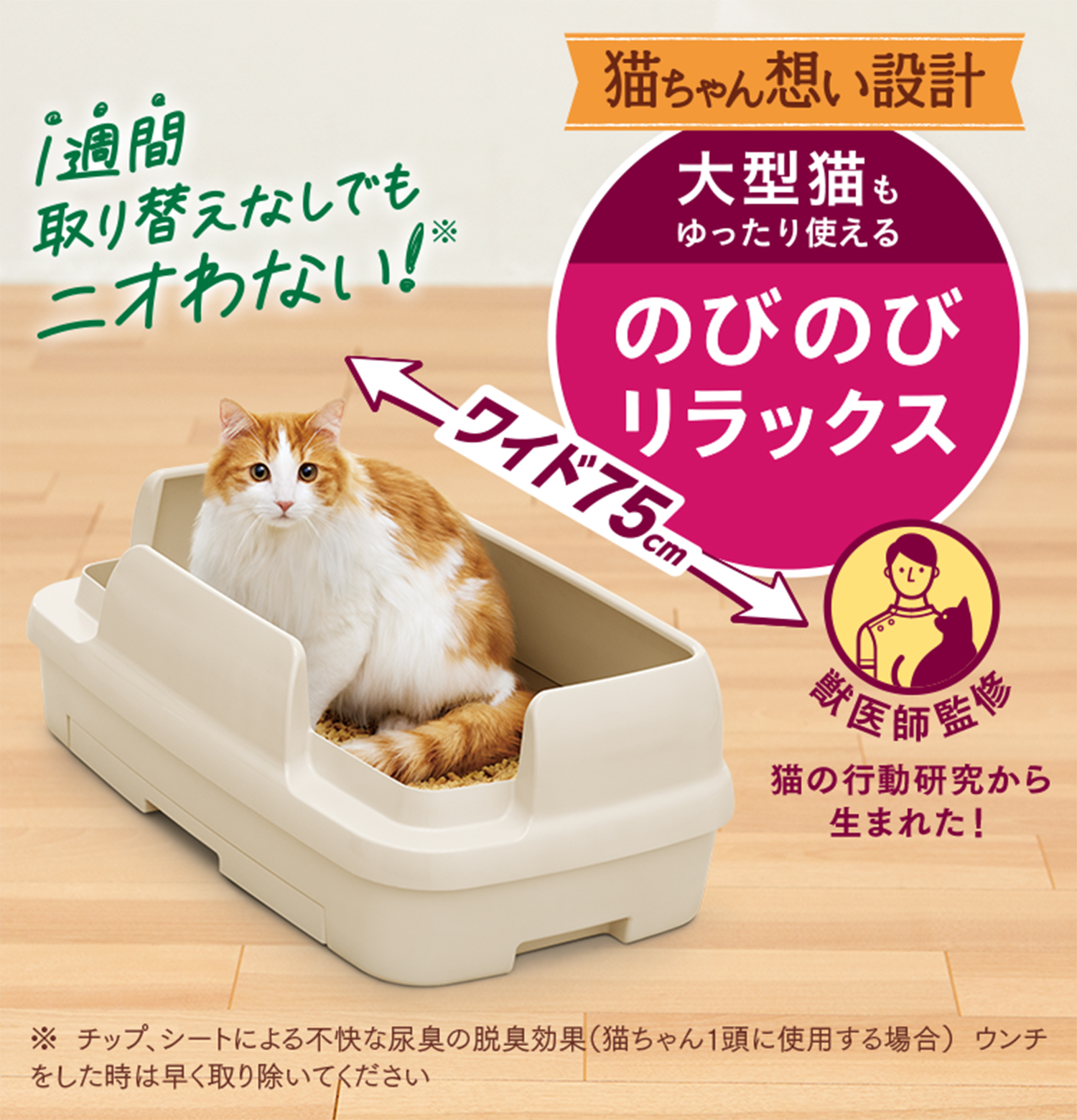 猫の大型トイレおすすめ比較！粗相や飛び散りを防ぐ2026年最新基準