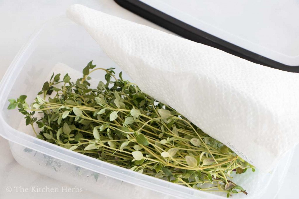 How Do I Store Fresh Thyme