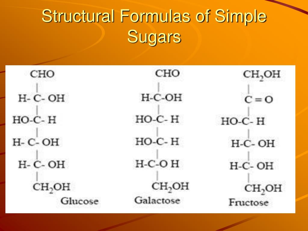 Which of the Following Is a Simple Sugar