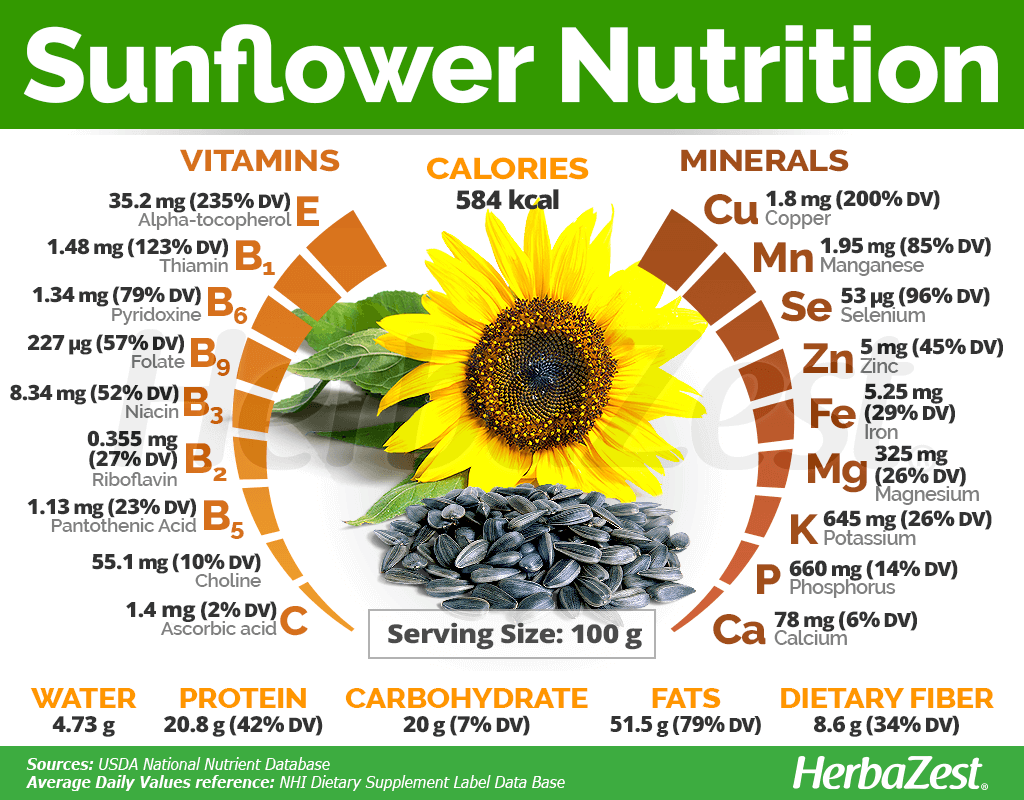 Sunflower Seed Nutrition