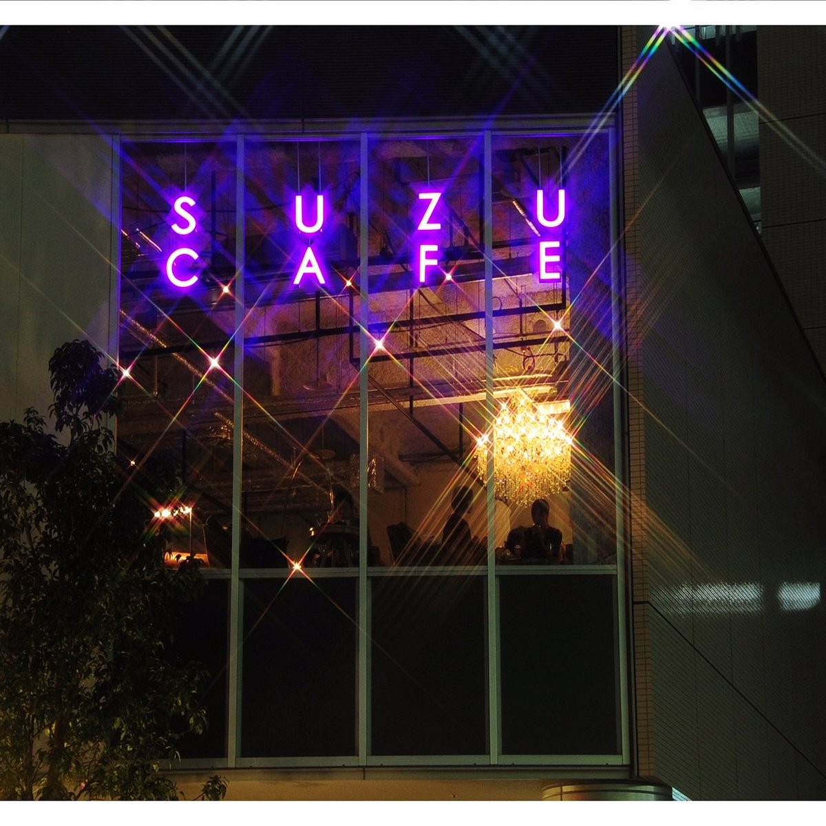 Suzu Cafe広島が選ばれ続ける理由とは？名物プリンと最新メニュー徹底解剖