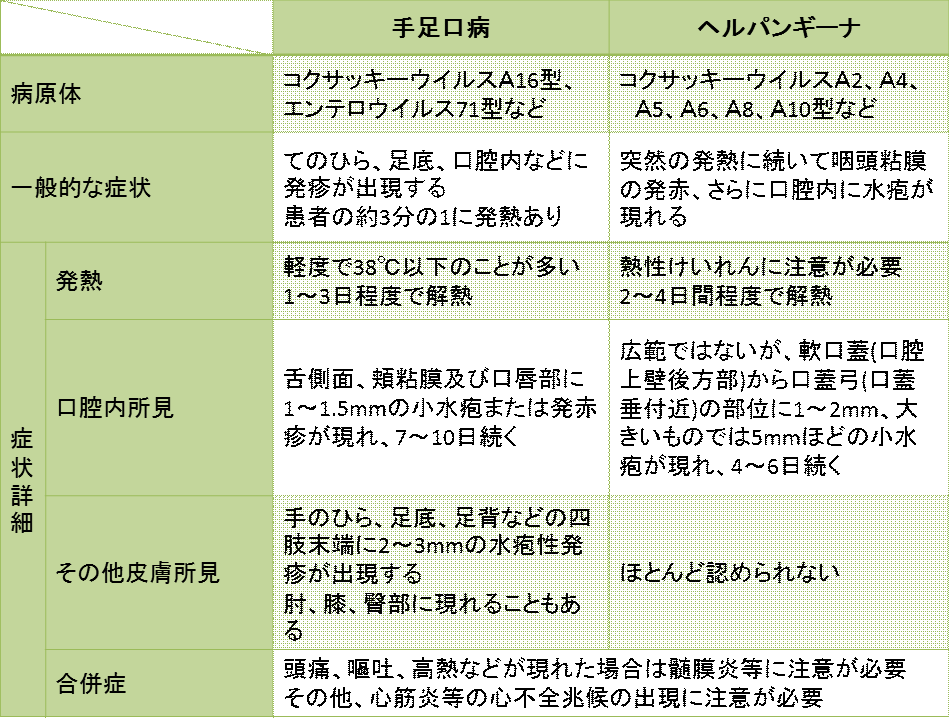 手足口病とヘルパンギーナの違いは？熱と発疹の見分け方【2026年最新】