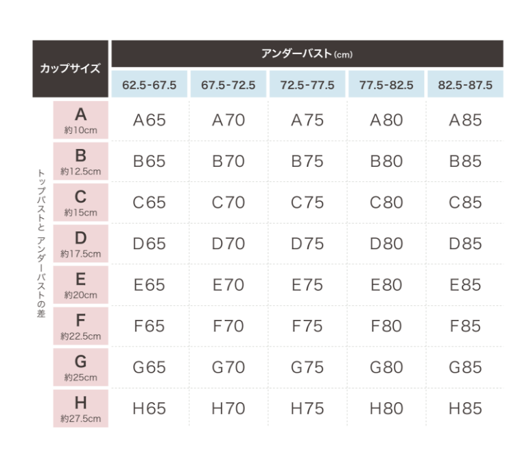 【2026年最新】規格外から「自分らしさ」へ——急成長するグラマーサイズ市場と「Mカップ」が映し出す多様性社会のリアル